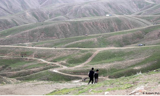 وزارت زراعت در پی احیای جنگلات طبیعی و ایجاد کمربند سبز